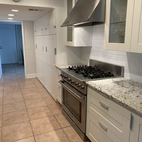 Gas Stove with griddle