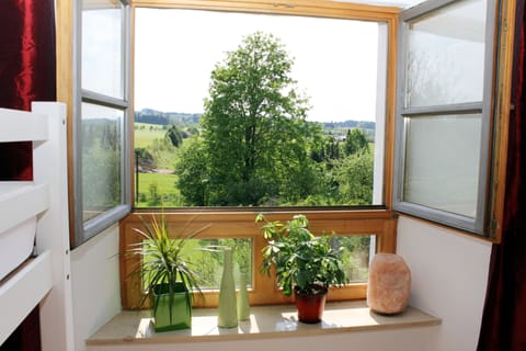 Apartment, 2 Bedrooms (Ludwig Suite) | View from room