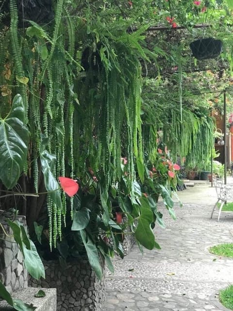 BBQ/picnic area