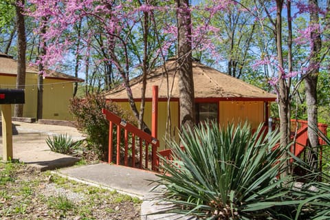 Steps to entry walkway