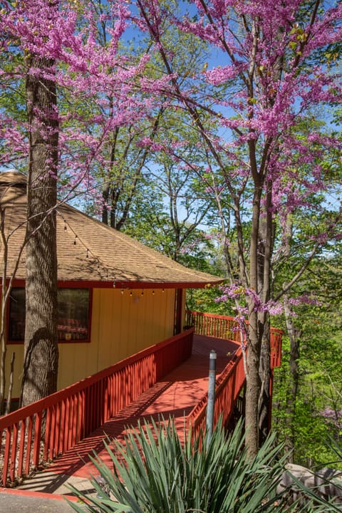 Walkway to entry door