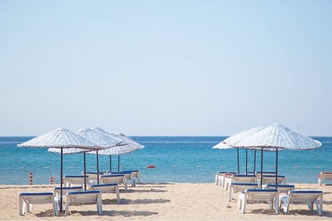 Sun loungers, beach umbrellas, beach volleyball