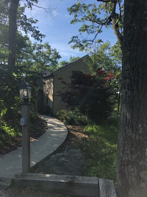 Path from driveway, heading to front door 