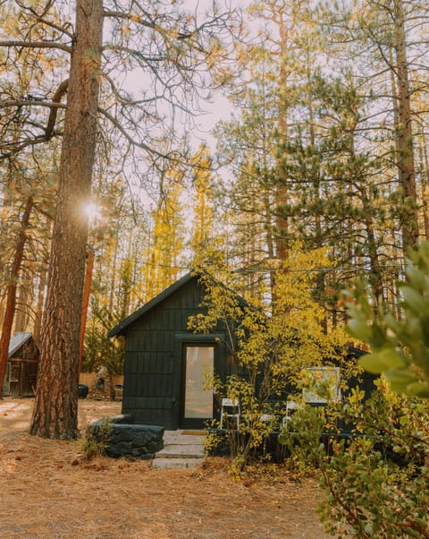 Signature Cabin, 2 Queen Beds, Private Yard (C6) | Terrace/patio