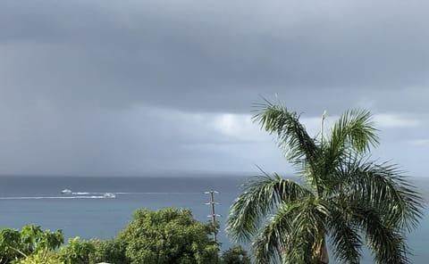 View from deck