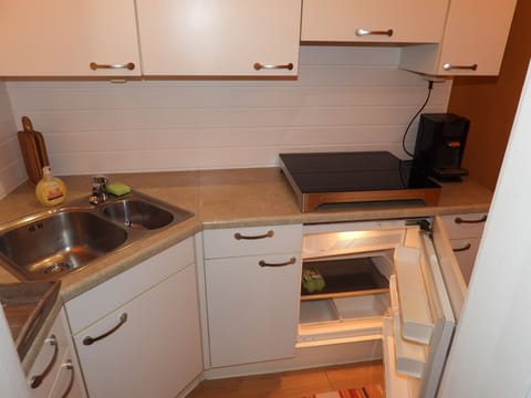 Traditional Apartment, Canal View, Mountainside | Private kitchen | Fridge, stovetop, coffee/tea maker, electric kettle