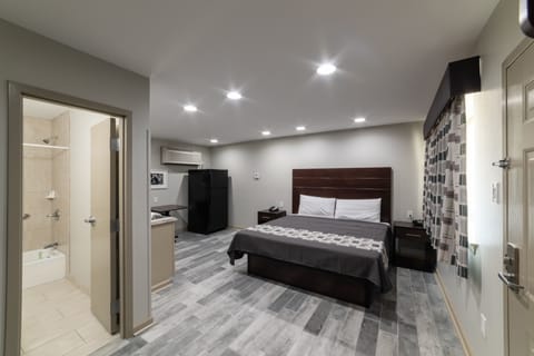 Deluxe Studio, 1 King Bed, Non Smoking, Kitchenette | Blackout drapes, iron/ironing board (on request), WiFi (free)