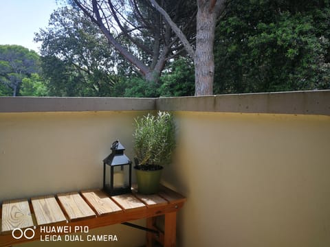 a sunny day on the balcony