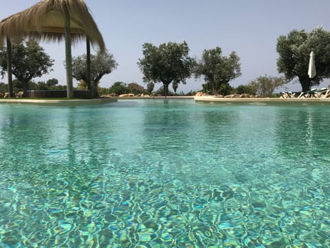 Outdoor pool, open 8:00 AM to 8:00 PM, pool umbrellas, sun loungers