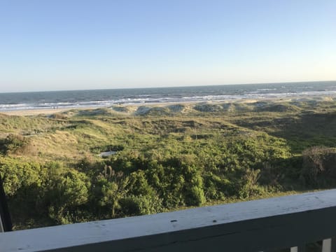 Enjoy the ocean over the dunes. 