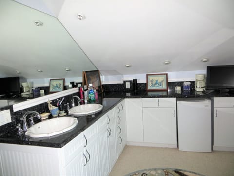 Master bathroom features dual sink and large 2 person shower, fridge & tv.