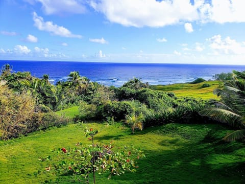 View of Atlantic Ocean from home