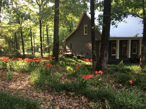 Spring Time at the Cabin!