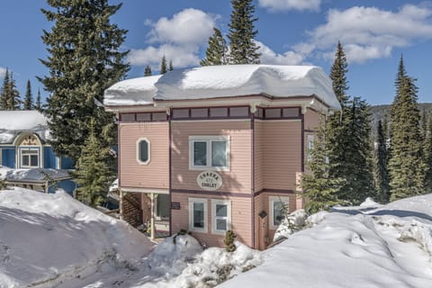 Family Friendly Chalet, just steps from the top of the Silver Queen Chair.