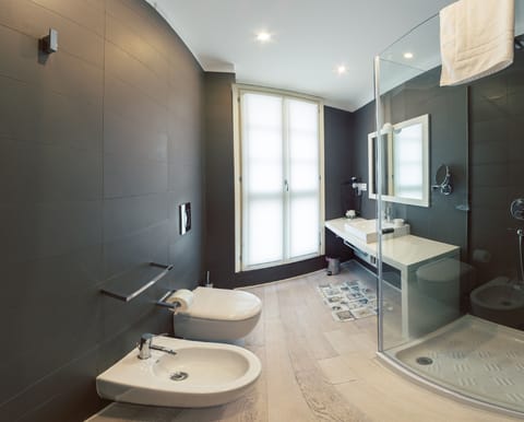 Shower, free toiletries, hair dryer, bidet