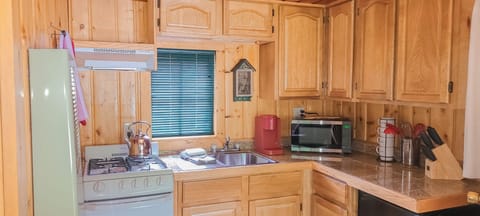 Panoramic Cabin, 1 Queen Bed, River View | Private kitchen | Fridge, microwave, oven, stovetop