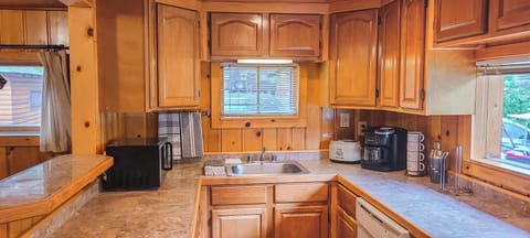 Cabin, Multiple Beds, River View | Private kitchen | Fridge, microwave, oven, stovetop