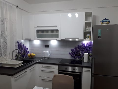 Apartment Karla SNB kitchen 