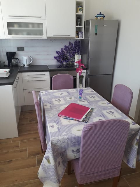 Apartment Karla SNB kitchen 