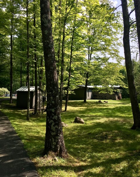 On the driveway, leading towards the house