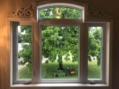 South facing view of garden area.