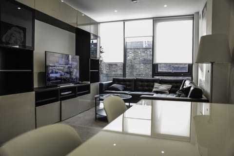 Flat-screen TV