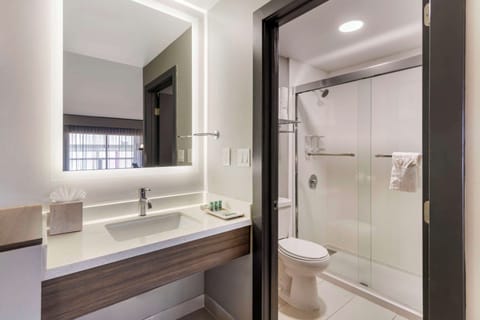 Suite, 1 King Bed, Non Smoking, Kitchenette (Living Room;Shower Only;with Sofabed) | Bathroom | Free toiletries, hair dryer, towels, soap