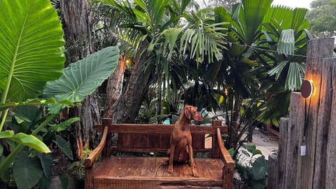 We are pet friendly! (1)
