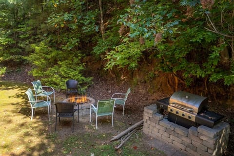 Outdoor Area - Outdoor fire pit and gas grill