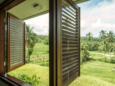Deluxe Double Room | View from room