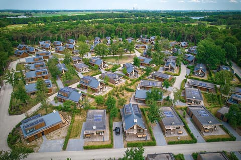 Luxury Villa, 2 Bedrooms (Birdie) | Interior