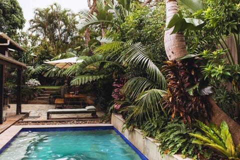 Our backyard features a secluded pool surrounded by rainforest gardens (1)