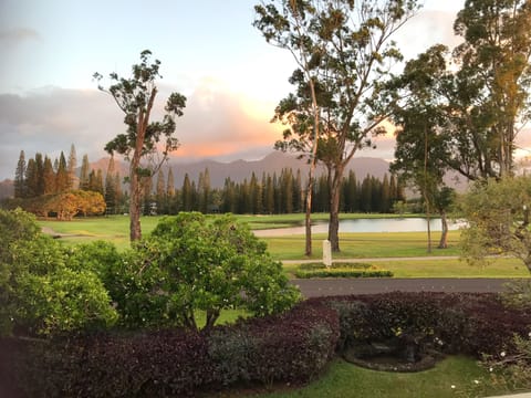 IPhone photo from the Lanai