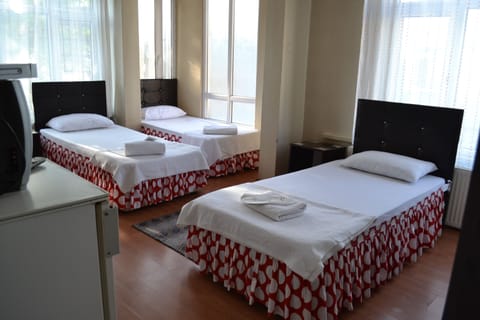Standard Triple Room | Desk, soundproofing, free WiFi, bed sheets