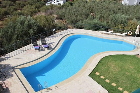 Shared Pool 