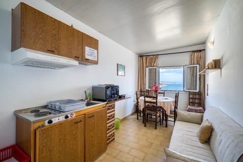 Full-size fridge, electric kettle, toaster oven