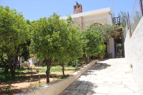  Ramp for easy access , garden with citrus trees and roses
