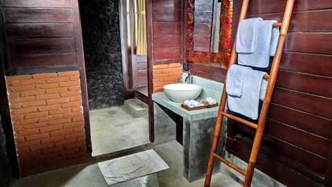 Shower, free toiletries, hair dryer, slippers