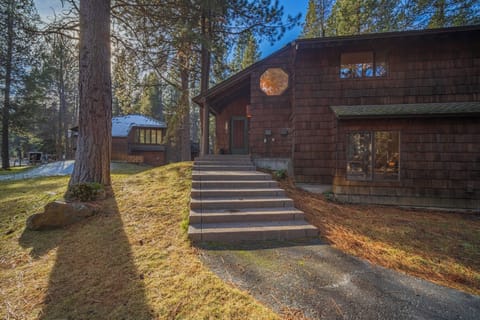 Charming cedar-shingled cabin nestled among towering pines, featuring welcoming stone steps leading to the front entrance.