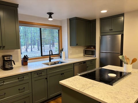 Kitchen Remodel 1