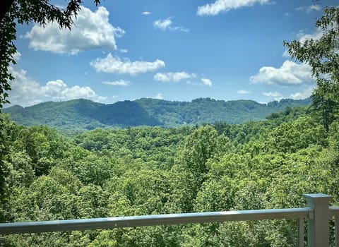 Relax and Enjoy the Ever Changing Mountain Views