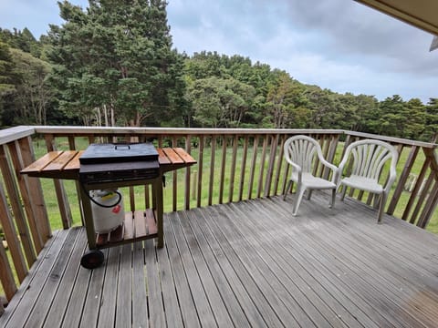 Deck area with BBQ and space for seating.