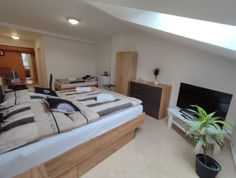 Triple Room | Laptop workspace, iron/ironing board, free WiFi, bed sheets