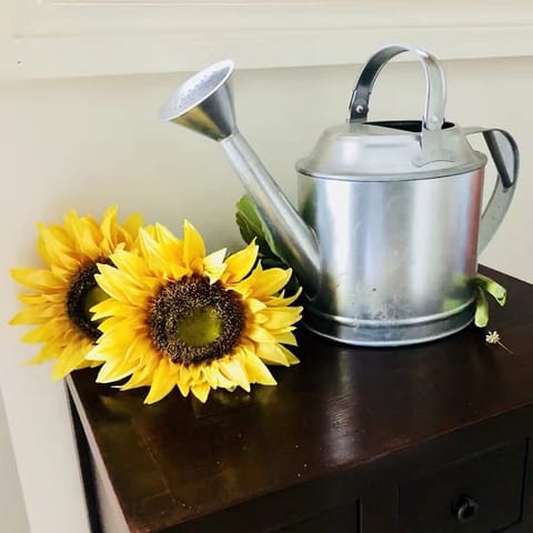 Sunflower cottage