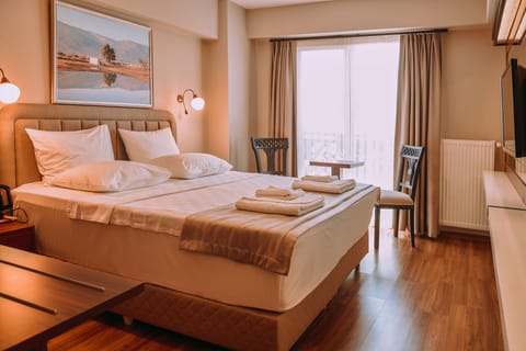 Standard Double Room | Minibar, free WiFi, bed sheets