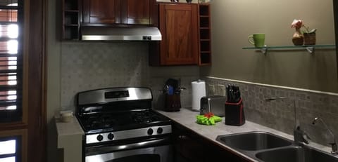 Deluxe Villa, Kitchen, Mountain View (#5 Ground Floor) | Private kitchen | Fridge, microwave, oven, coffee/tea maker