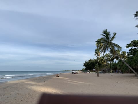 On the beach