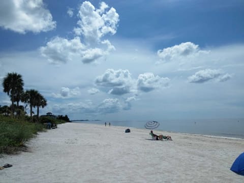 BONITA BEACH SCINES