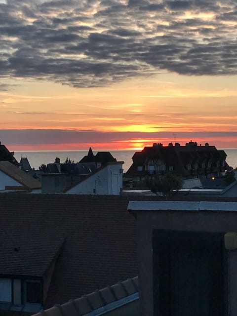 Vue roof top (avec Zoom)