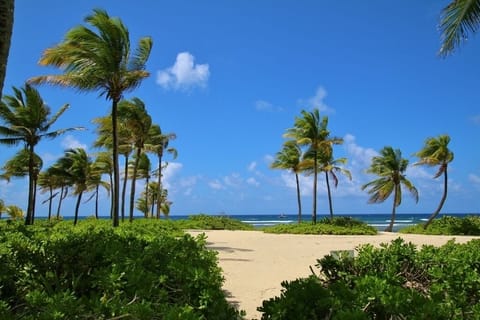 Sandy beach just steps away from Condo